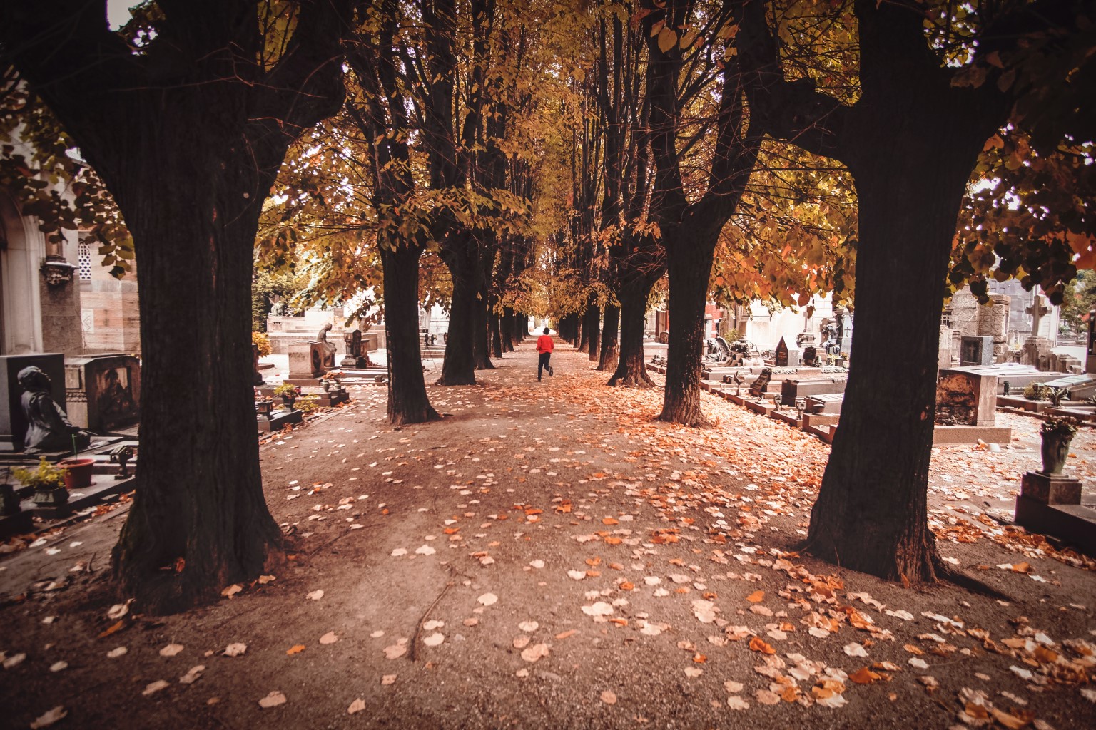 cemetery